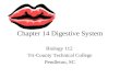 Chapter 14 Digestive System Biology 112 Tri-County Technical College Pendleton, SC.
