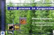 1 Venera Surappaeva, the State Agency Environment Protection and Forestry FLEG process in Kyrgyzstan.