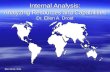 Ellen Drost, 2014 Internal Analysis: Analyzing Resources and Capabilities Dr. Ellen A. Drost.