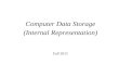 Computer Data Storage (Internal Representation) Fall 2011.