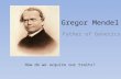 Gregor Mendel Father of Genetics How do we acquire our traits?