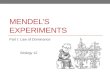 MENDEL’S EXPERIMENTS Part I: Law of Dominance Biology 12.