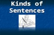 Kinds of Sentences. There are four different kinds of sentences.