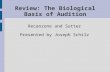 Review: The Biological Basis of Audition Recanzone and Sutter Presented by Joseph Schilz.