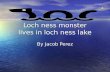 Loch ness monster lives in loch ness lake By Jacob Perez.