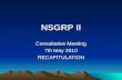 NSGRP II Consultative Meeting 7th May 2010 RECAPITULATION.