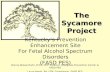 TheSycamoreProject Kentucky’s Prevention Enhancement Site For Fetal Alcohol Spectrum Disorders (FASD PES) Donna Wiesenhahn, M.Ed, CPP: Director, Bluegrass.