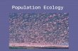 Population Ecology. What is a population? All the members of a species living in the same place at the same time. Organisms usually breed with members.
