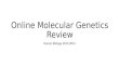 Online Molecular Genetics Review Honors Biology 2013-2014.
