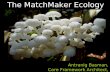 The MatchMaker Ecology Antranig Basman, Core Framework Architect, GPII.