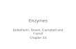 Enzymes Bettelheim, Brown, Campbell and Farrell Chapter 23.