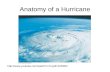 Anatomy of a Hurricane .
