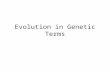 Evolution in Genetic Terms. Genes and Variation Alleles = different versions of a gene (a gene codes for a trait). Genetic variation is studied in populations.