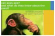 Can apes ape? and what do they know about the mind? dr fenja ziegler c82 sad lecture 3.