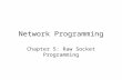 Network Programming Chapter 5: Raw Socket Programming.