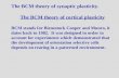 The BCM theory of synaptic plasticity. The BCM theory of cortical plasticity BCM stands for Bienestock Cooper and Munro, it dates back to 1982. It was.