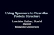Using Spanners to Describe Protein Structure Leonidas Guibas, Daniel Russel Stanford University.