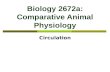 Biology 2672a: Comparative Animal Physiology Circulation.