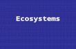 Ecosystems. Overview Flow of energy Feeding relationships and feeding modes Trophic levels Food chains/webs Pyramids of biomass, numbers, energy Flow.