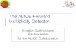 The ALICE Forward Multiplicity Detector Kristján Gulbrandsen Niels Bohr Institute for the ALICE Collaboration.