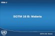 SGTM 16 B: Malaria Slide 1 SGTM 16 B: Malaria. Slide 2  How malaria affects the world  How malaria affects you  Preventing malaria  How malaria affects.