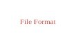 File Format. Graphics file Format GIF (Graphics Interchange Format) JPEG (Joint Photographic Experts Group) PNG (Portable Network Graphics) TIFF (Tag.