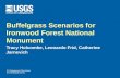 U.S. Department of the Interior U.S. Geological Survey Buffelgrass Scenarios for Ironwood Forest National Monument Tracy Holcombe, Leonardo Frid, Catherine.