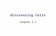 Discovering Cells Chapter 3.1. I. An Overview of Cells Cells: the basic unit of structure and function. TPS: What does basic mean?