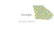 Georgia By Casey Dillman. region southeast abbreviation GA.