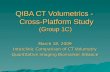 QIBA CT Volumetrics - Cross-Platform Study (Group 1C) March 18, 2009 Interclinic Comparison of CT Volumetry Quantitative Imaging Biomarker Alliance.