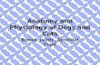 Anatomy and Physiology of Dogs and Cats Bones, Joints, Synovial Fluid.