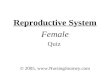 Reproductive System Female Quiz © 2005, .