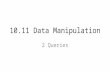 10.11 Data Manipulation 2 Queries. You will need… Specimen 2007 Paper 2 Task C (a PDF) q 43 Read this question carefully before you start The database.