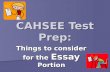 CAHSEE Test Prep: Things to consider for the Essay Portion.
