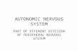 AUTONOMIC NERVOUS SYSTEM PART OF EFFERENT DIVISION OF PERIPHERAL NERVOUS SYSTEM.
