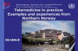 Telemedicine in practice: Examples and experiences from Northern Norway Eli ARILD.