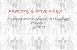 Anatomy & Physiology An Introduction to Anatomy & Physiology Chapter 1 pp. 2-27.