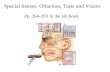 Special Senses: Olfaction, Taste and Vision Pp. 264-293 in the lab book.