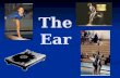 The Ear. Functions of the Ear 1. Hearing 2. Balance There are three parts to the Ear: 1.The Outer Ear 2.The Middle Ear 3.The Inner Ear.