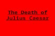 The Death of Julius Caesar. Why kill Caesar? The people were not pleased with their living conditions. Caesar was becoming more of a king, Romans had.