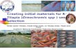 Creating initial materials for Red Tilapia (Oreochromis spp ) seed selection TRINH QUOC TRONG, PHAM DINH KHOI, LE TRUNG DINH, TRAN HUU PHUC Southern National.
