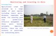 Monitoring and Scouting in Rice Introduction Agricultural crops are attacked by a large number of pest species including insect pests, diseases, nematodes.
