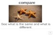compare shape color the shade you see bigger smaller.