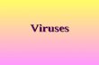 Viruses. Viruses Viruses are not strictly alive, because they do not carry out their own life activities and reproduction. In other words, without a host.