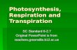 Photosynthesis, Respiration and Transpiration SC Standard 6-2.7 Original PowerPoint is from teachers.greenville.k12.sc.us.