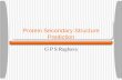 Protein Secondary Structure Prediction G P S Raghava.