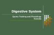 Digestive System Sports Training and Physiology Kociuba .