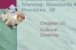 Chapter 16 Cultural Diversity Fundamentals of Nursing: Standards & Practices, 2E.