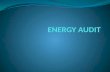 TYPE OF ENERGY AUDIT Energy Audit can be classified into the following two types. i) Preliminary Audit ii) Detailed Audit The type of Energy Audit to.