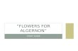 STUDY GUIDE “FLOWERS FOR ALGERNON”. WHAT IS THE POINT OF VIEW OF THIS STORY? WHO IS THE NARRATOR? First POV Charlie Gordon.